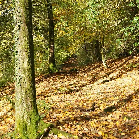 Windermere Bed And Breakfast * Windermere