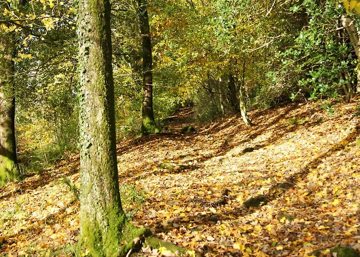 Windermere Bed And Breakfast * Windermere